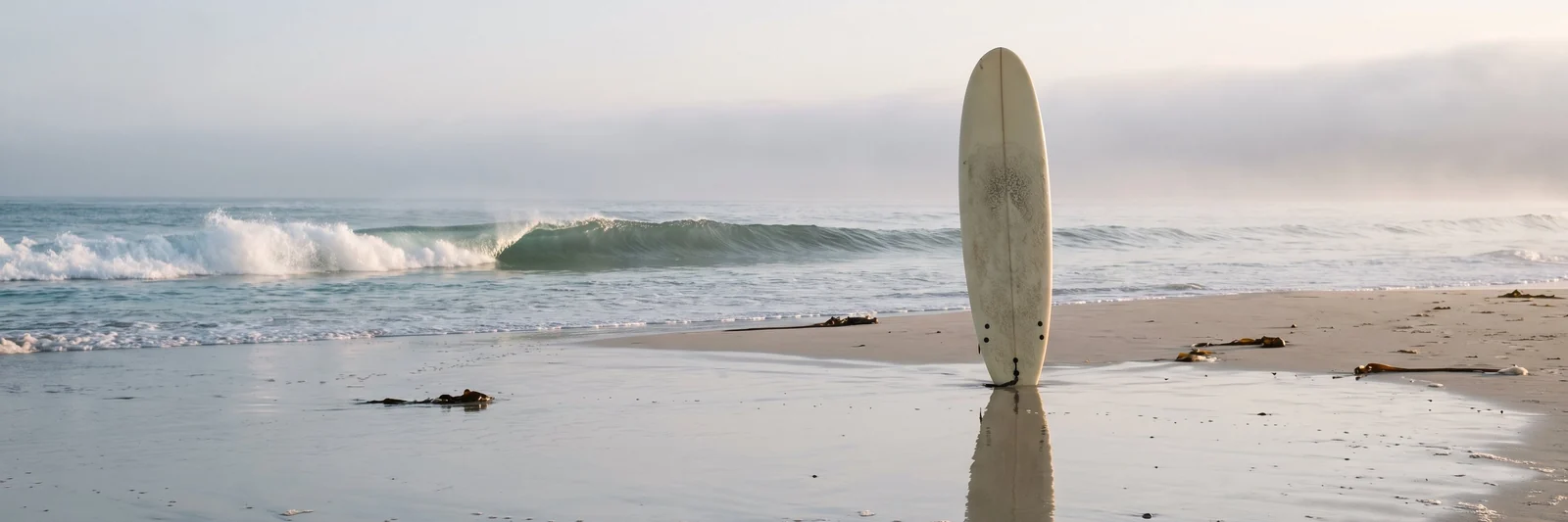 A cream surfboard standing upright in wet sand at dawn, a grey-green wave breaking behind it in the sea mist